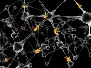 Spiking network
